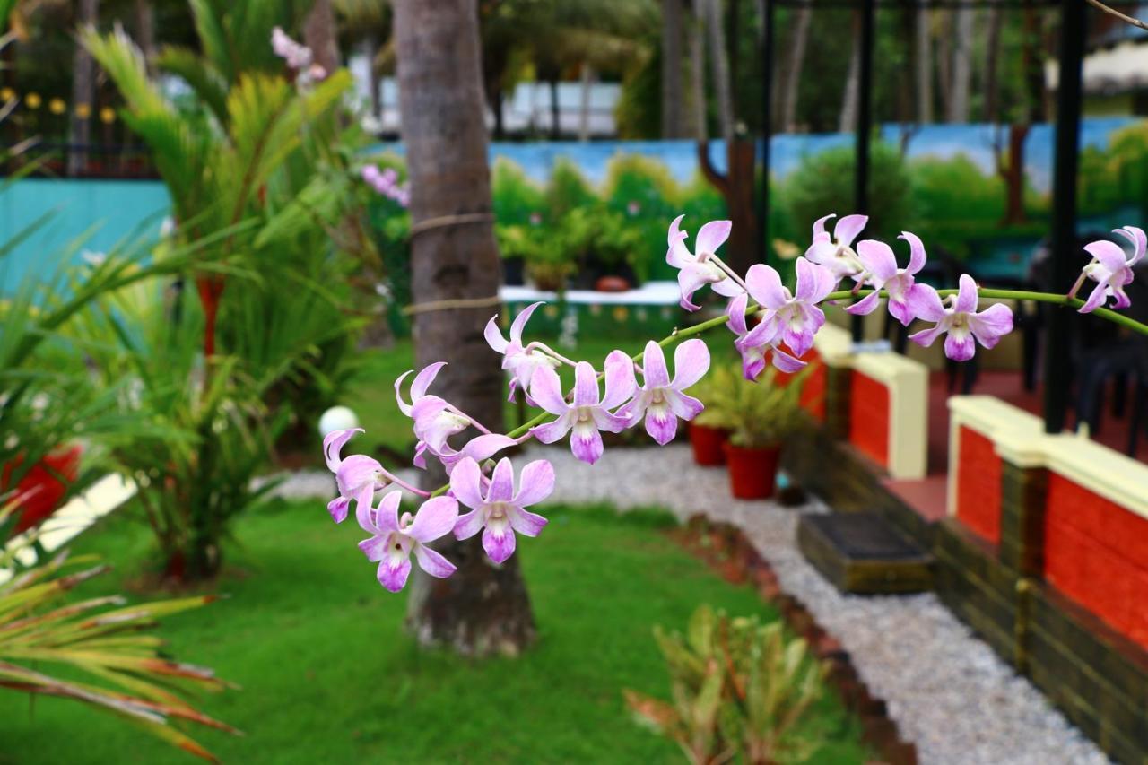 Divine Bliss Beach Resort Варкала Екстериор снимка